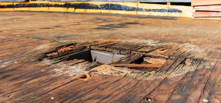 Wood Deck Repair
